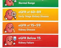 Understanding Estimated Glomerular Filtration Rate (eGFR)